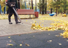 Souffleur à feuilles
